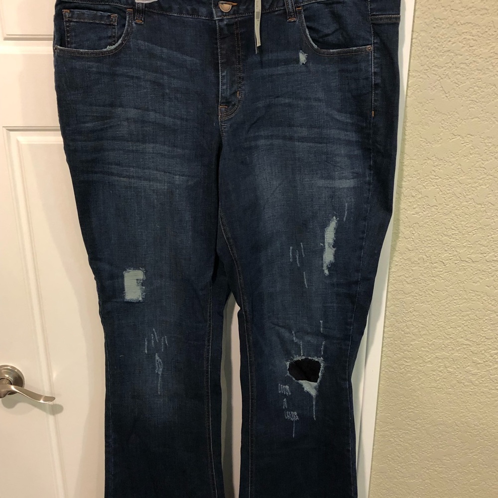 Lane Bryant Flare Jeans